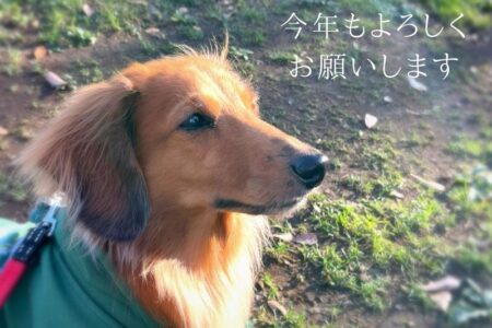 2025年よろしくお願いします